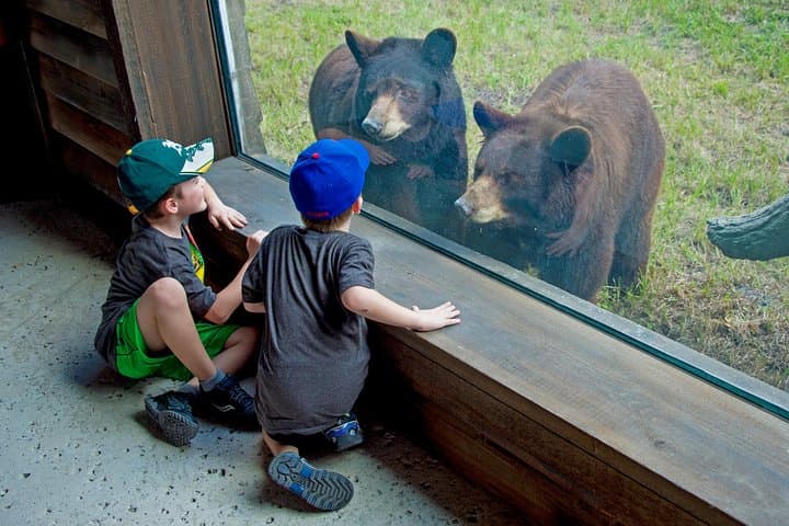 Explore Zoo Miami: Guide to Tickets, Exhibits & Practical Tips