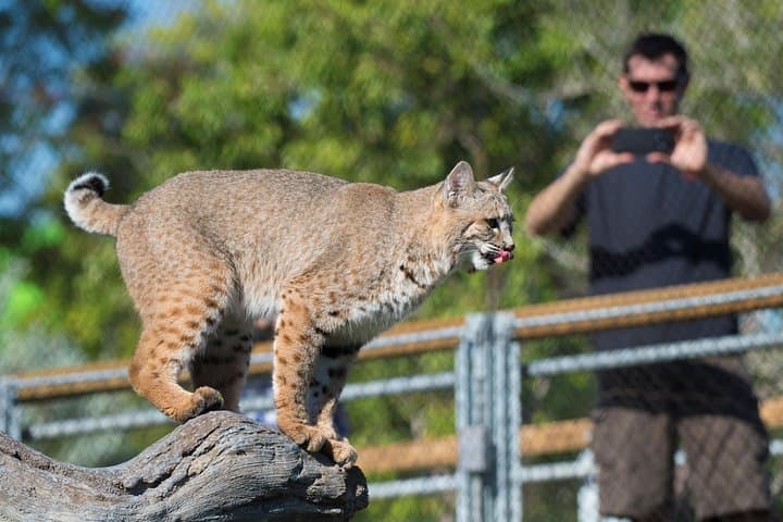 Explore Zoo Miami: Guide to Tickets, Exhibits & Practical Tips photo 4