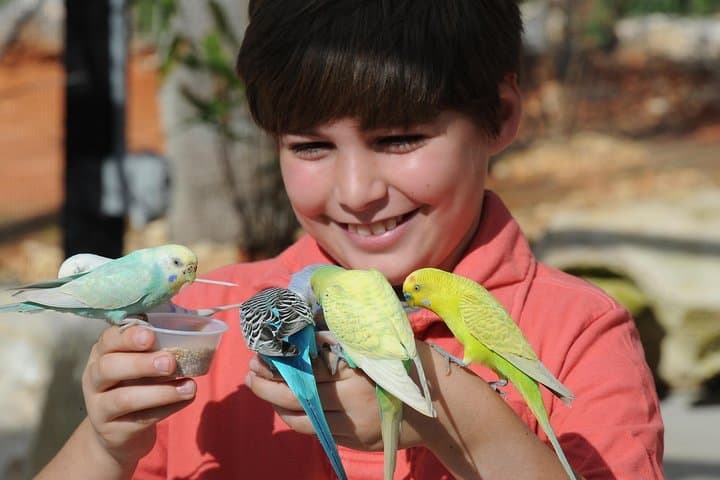 Explore Zoo Miami: Guide to Tickets, Exhibits & Practical Tips photo 5
