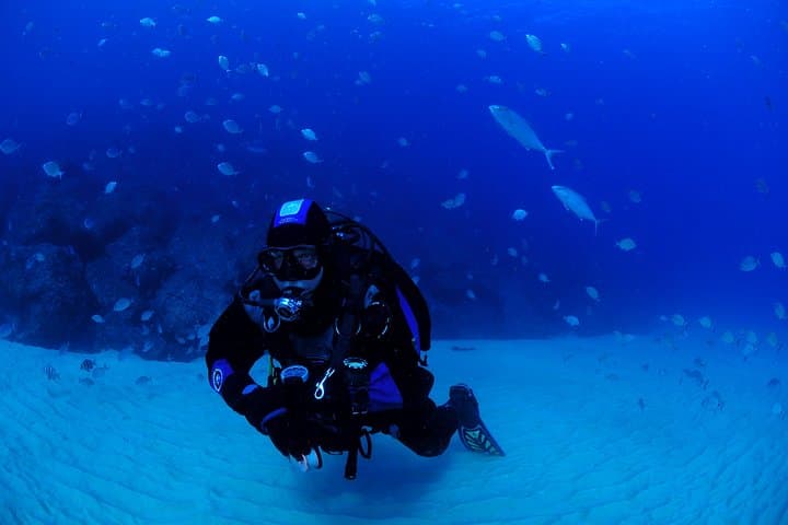 Lisbon Eco-Try Dive: Try Scuba in Professor Luíz Saldanha Marine Park photo 3