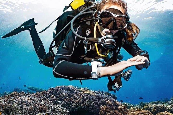 Lisbon Eco-Try Dive: Try Scuba in Professor Luíz Saldanha Marine Park photo 2
