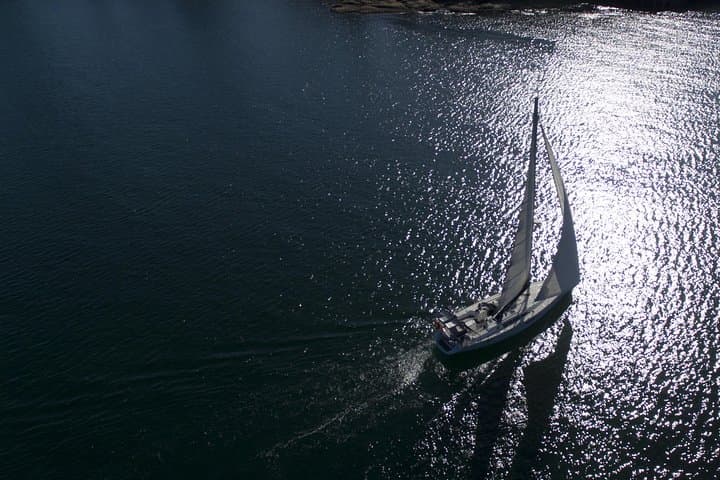 Whales Under Sail: Sydney Whale Watching Sailing Experience photo 6