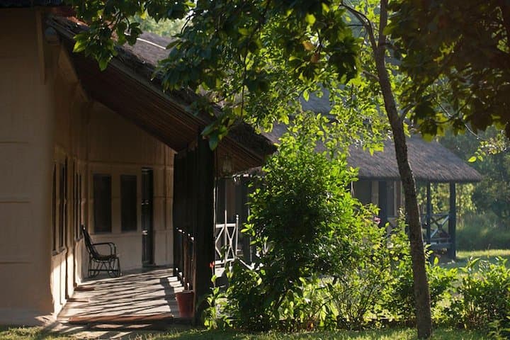 Bardia National Park Safari at Tiger Tops Karnali Lodge — Jeep, River & Walking Safaris photo 5