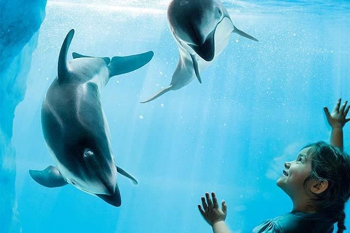 Chicago CityPASS: See Top Sights in 9 Days photo 4