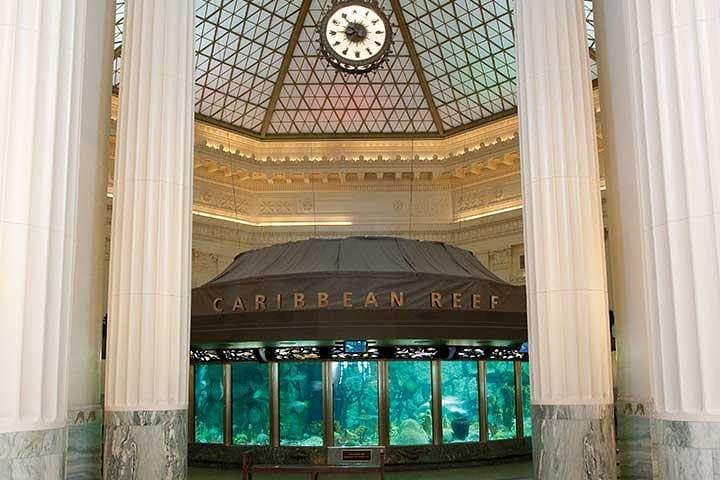 Chicago CityPASS: See Top Sights in 9 Days photo 3
