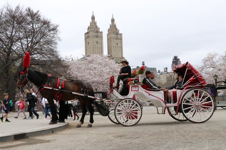 VIP Horse Carriage Ride Through Central Park — Private 1-Hour Tour photo 4