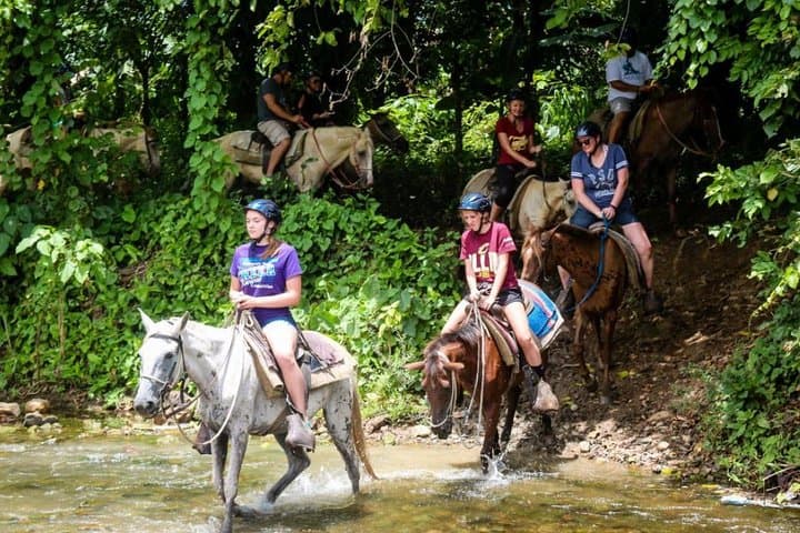 Off the Beaten Path: A Jeep Safari Adventure photo 6