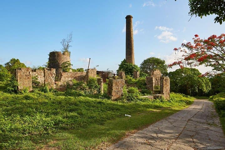 Nevis Island Half-Day Tour: Ferry to Charlestown, Historic Sites & Island Highlights photo 5