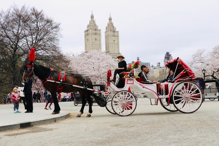 Central Park Horse-Drawn Carriage Ride (50 min) from Columbus Circle photo 4