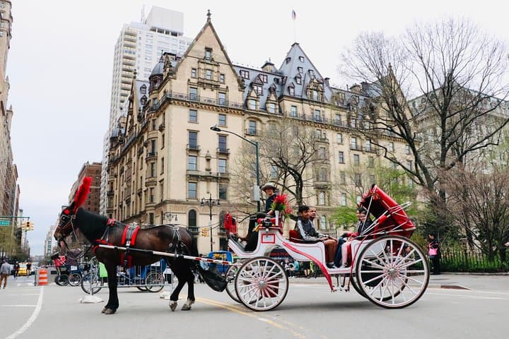 Central Park Horse-Drawn Carriage Ride (50 min) from Columbus Circle photo 5