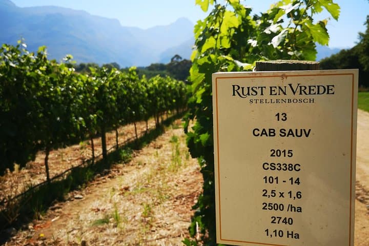 Private Cape Winelands Full‑Day Guided Wine Tour from Cape Town photo 3