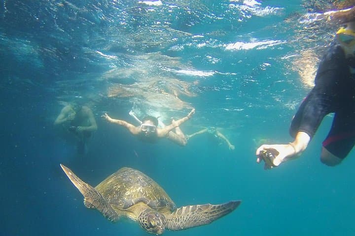 5-Day Galapagos Highlights: Island Hopping from Puerto Ayora photo 2