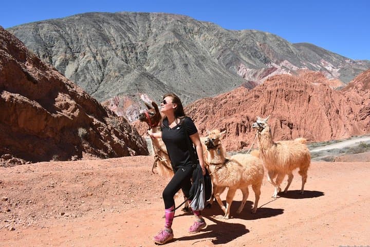 Purmamarca Walk with Llamas: Guided Llama Walk & Geology Tour near Cerro de los Siete Colores
