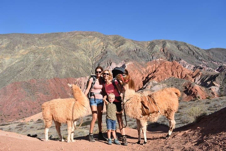 Purmamarca Walk with Llamas: Guided Llama Walk & Geology Tour near Cerro de los Siete Colores photo 2