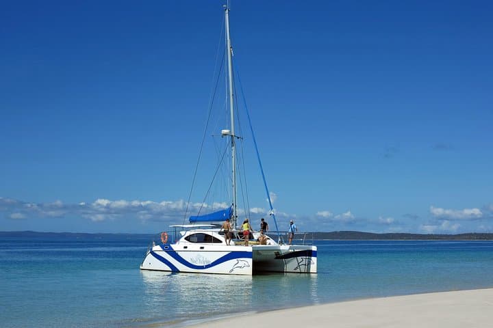 Hervey Bay Dolphin & Fraser Island Half-Day Sailing Cruise from Urangan photo 4
