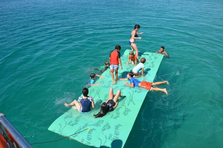 Hervey Bay Dolphin & Fraser Island Half-Day Sailing Cruise from Urangan photo 5