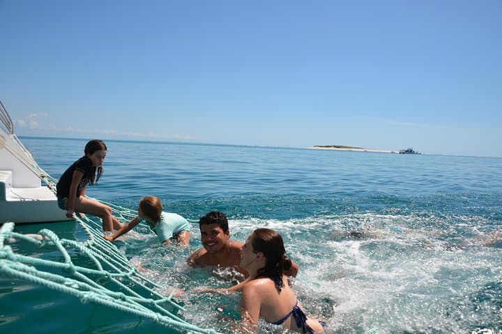 Hervey Bay Dolphin & Fraser Island Half-Day Sailing Cruise from Urangan photo 6