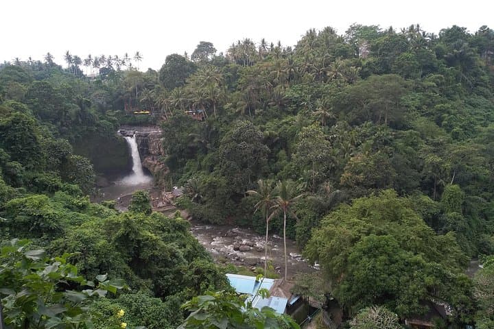 Full-Day Ubud Cultural Tour with Lunch: Temples, Waterfalls & Rice Terraces photo 2