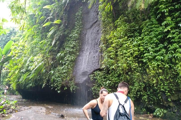 Full-Day Ubud Cultural Tour with Lunch: Temples, Waterfalls & Rice Terraces photo 3