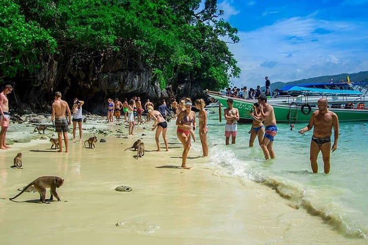 Phi Phi Longtail Half-Day: Snorkeling Pileh Lagoon, Maya Bay Photos & Viking Cave photo 6