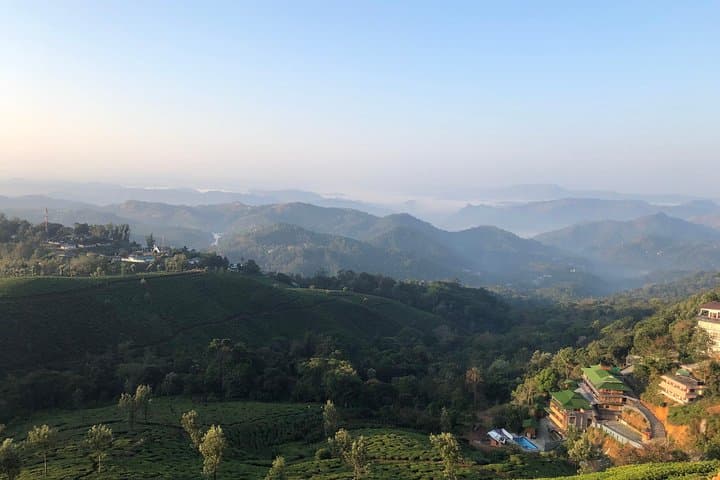 Half-Day Mountain Hiking Through Munnar Tea Plantations photo 4