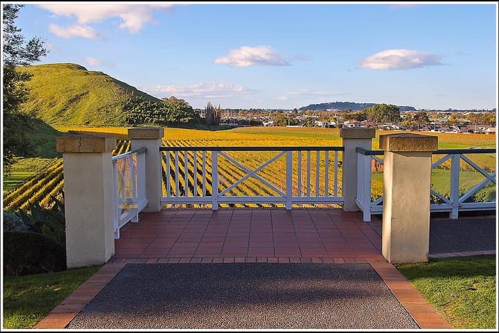 napier-premium-wine-beer-and-cider-tour-a-half-day-tasting-in-hawkes-bay photo 3