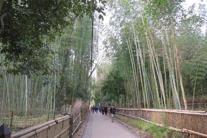 Visit Lushan (Arashiyama): Bamboo Grove, Tenryu-ji & Togetsukyo by Foot and Tram photo 1