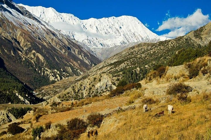 Annapurna Tilicho Pass Trek: 17-Day High-Altitude Trek to Tilicho Lake and Thorong La photo 2
