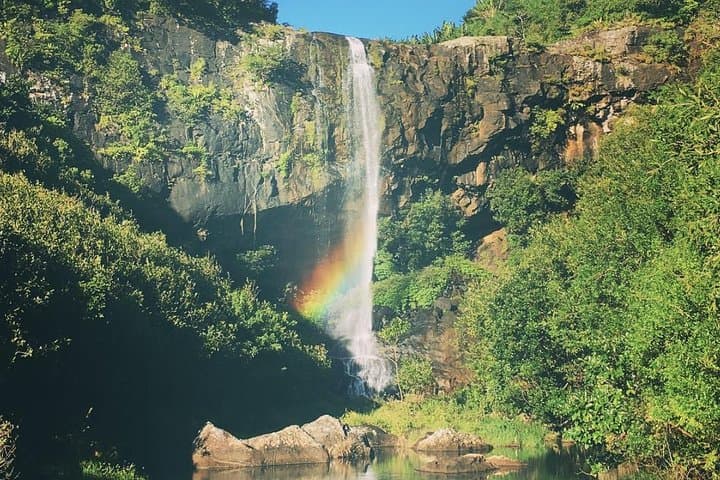 Tamarind Falls (7 Cascades) Guided Hike with Hotel Transfer — Mauritius Day Tour photo 6