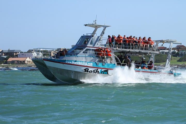 Dyer Island Whale and Shark Watching Cruise from Cape Town photo 2