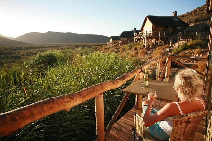 Cape Town Day Safari: Big Five Game Drive in the Karoo photo 4