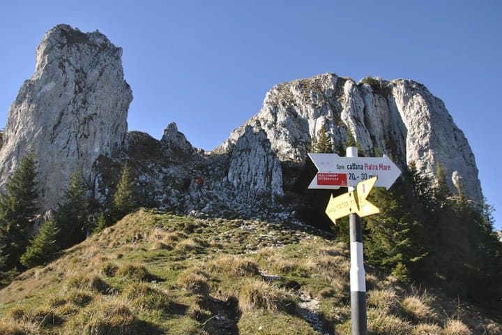 Carpathian Peaks & Chalets: One-Day Hike from Brașov photo 2