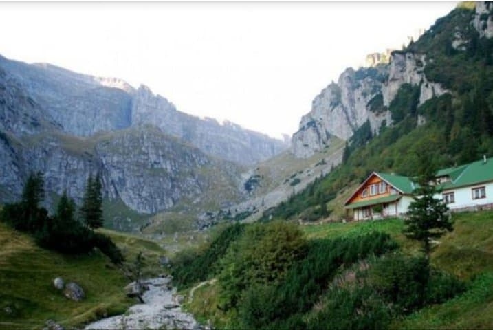 Carpathian Peaks & Chalets: One-Day Hike from Brașov photo 3
