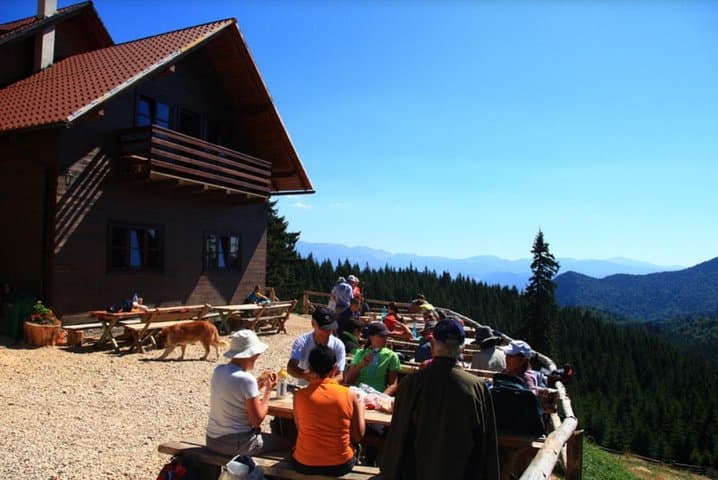 Carpathian Peaks & Chalets: One-Day Hike from Brașov photo 4