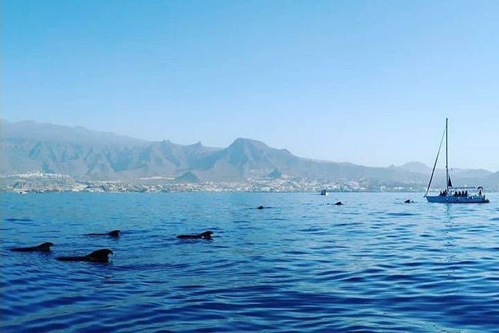 Private Sailing Charter in Tenerife South — Half-Day Yacht from Costa Adeje photo 1