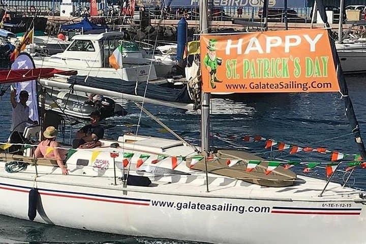 Tenerife Whale & Dolphin Small-Group Sailing from Puerto Colón photo 6