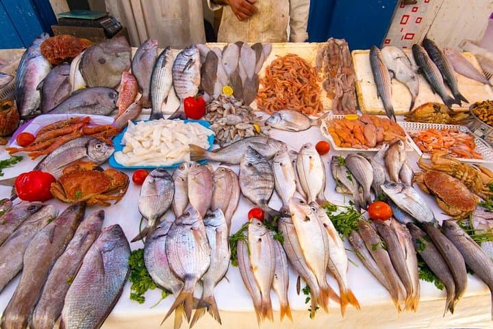 Essaouira Day Trip from Marrakech: Explore the Medina, Beaches & Argan Cooperatives photo 6