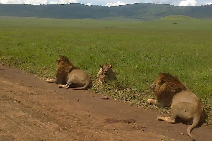 5-Day Budget Camping Safari to See the Great Migration in Tanzania photo 1