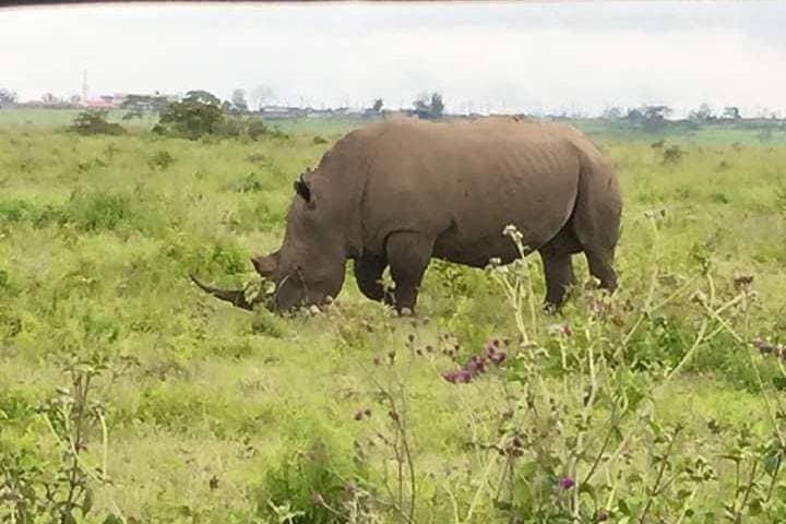 5-Day Budget Camping Safari to See the Great Migration in Tanzania photo 3