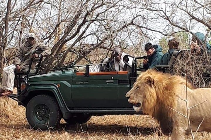 Kruger Park Safari — Full-Day Big Five Game Drive in Kruger National Park photo 2