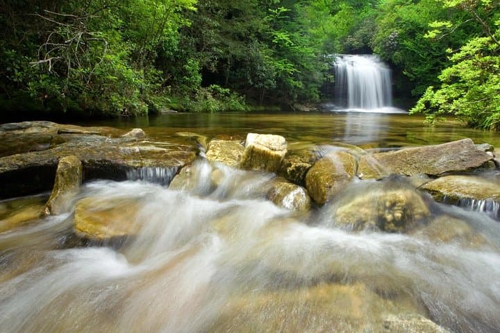 Asheville Waterfalls and Blue Ridge Parkway Private Naturalist Tour photo 2