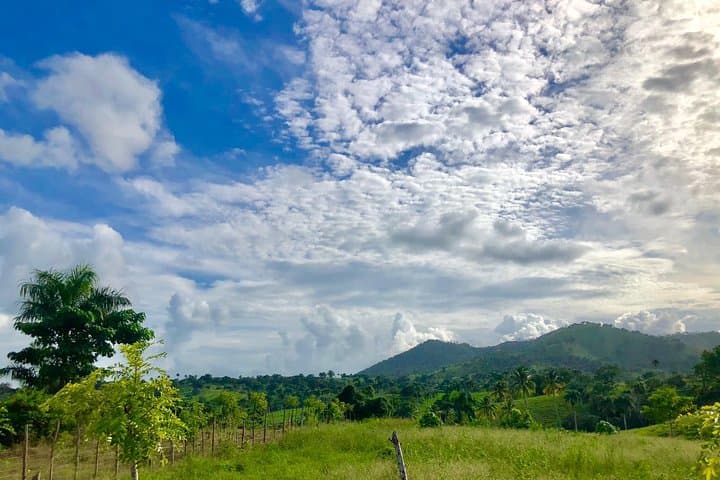 Punta Cana Adventure Bundle: Monkeyland Zipline & Buggy Tour in Anamuya photo 4