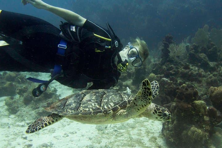 Discover Scuba Diving Roatán — Private Intro to the Barrier Reef photo 4