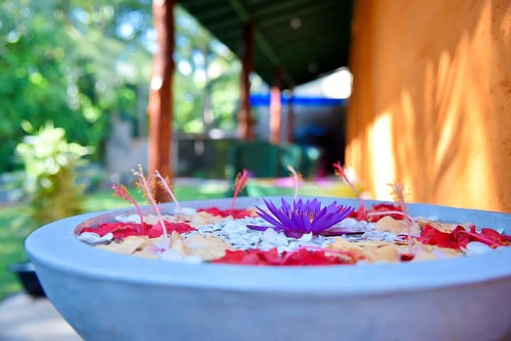 Ayurveda Day Package in Bentota — Traditional Sri Lankan Wellness Day photo 3