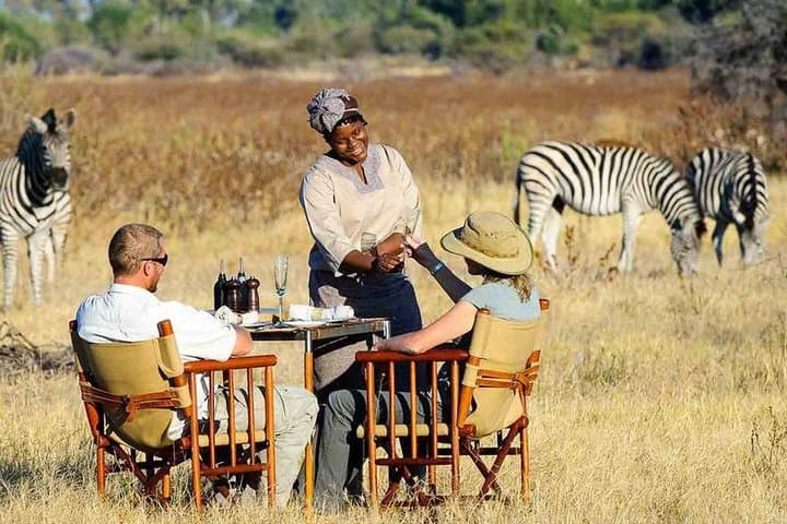 Day Safari from Cape Town: Private Big Five Tour to the Klein Karoo photo 2