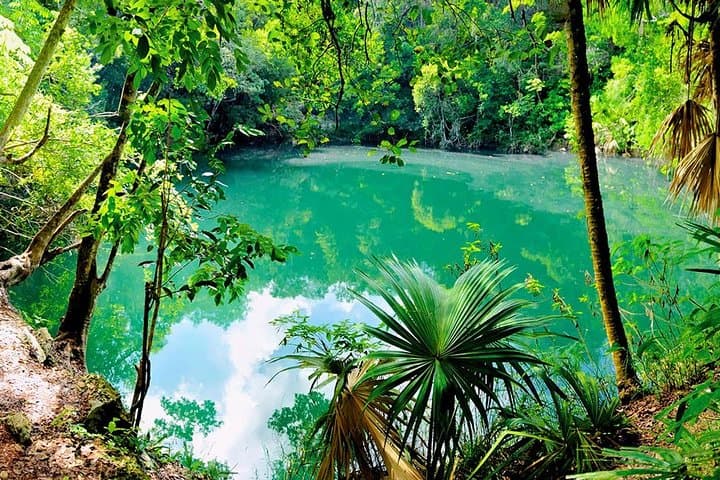 Tulum Ruins, Cenote Swim & Turtle Snorkel: Private Tour from Playa del Carmen photo 6