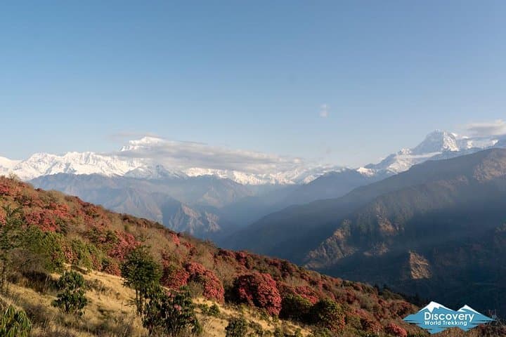 Annapurna Circuit & Tilicho Lake Trek — 16-Day High-Altitude Journey photo 3