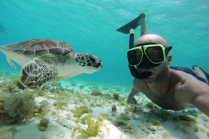 Snorkel Tour Curaçao: Jan Thiel Reef Exploration and Sightseeing photo 4