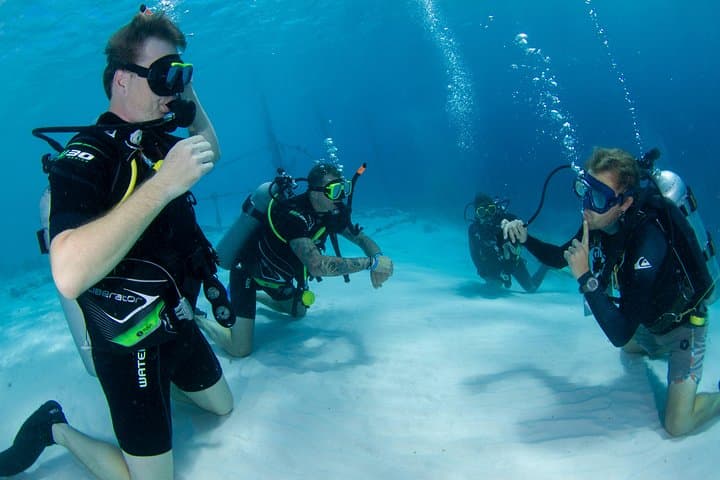 Discover Scuba Dive in Curaçao: Introductory PADI Experience in Shallow Reefs photo 4