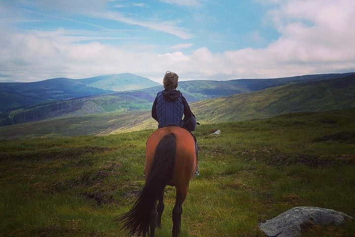 Wicklow Mountain Horse Trekking: Golden Falls Ride from Glendalough